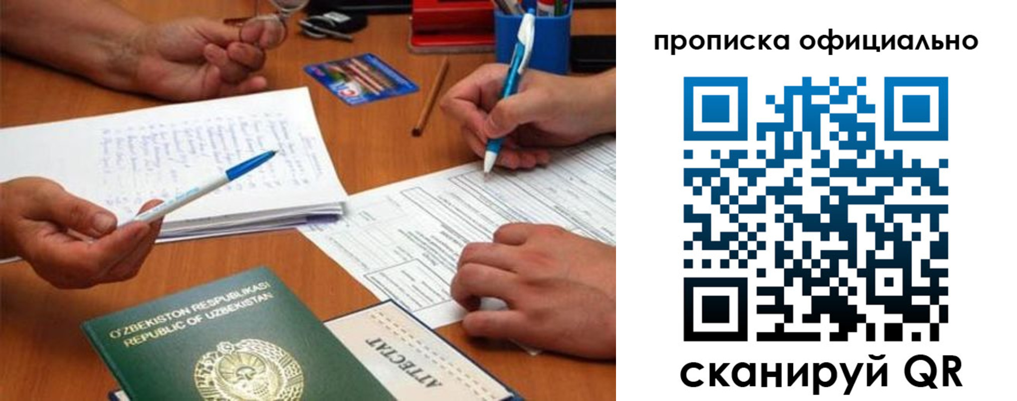 прописка поиск в Светлогорске